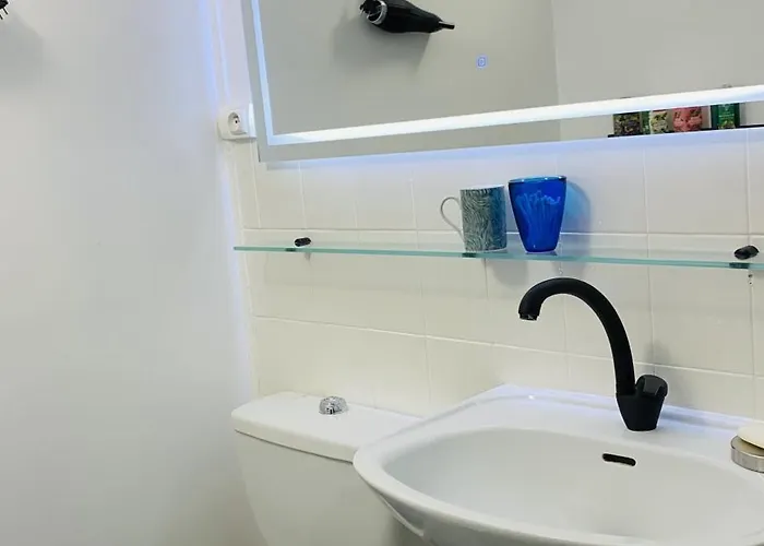 Logis Et Slow Life A La Campagne * Confolens